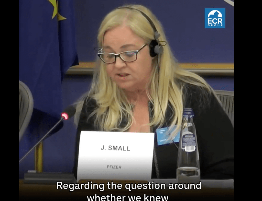 欧州議会でのファイザー役員ジャニン・スモール（Janine Small）
