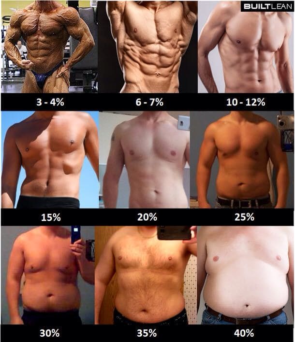 男性の体脂肪率一覧