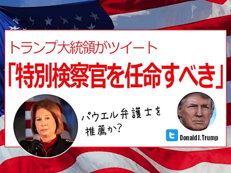 トランプ大統領『特別検察官』を任命すべきとツイート / リンウッド弁護士はパウエル弁護士を推薦 (香港大紀元新唐人ニュース)