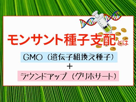 モンサント種子支配『GMO（遺伝子組換え種子）＋ ラウンドアップ（グリホサート）』 - アルゼンチンの事例
