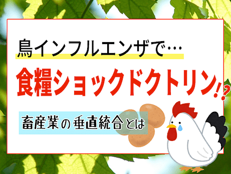 鳥インフルエンザ騒動の真実『食肉業界の垂直統合』 - 食糧ショックドクトリン - 畜産編