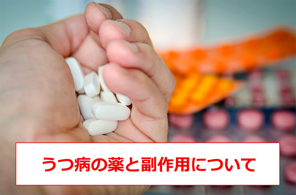 美容・健康