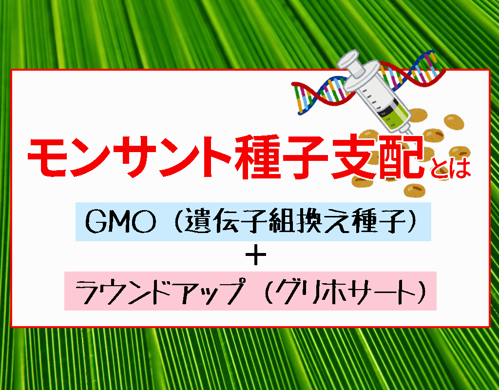 モンサント種子支配『GMO（遺伝子組換え種子）＋ ラウンドアップ（グリホサート）』 - アルゼンチンの事例