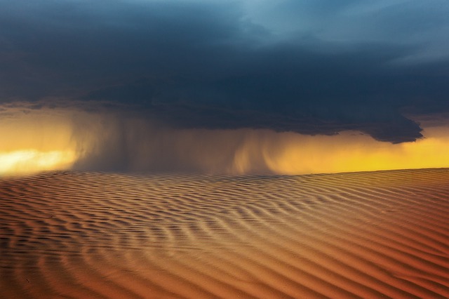 砂漠の嵐作戦