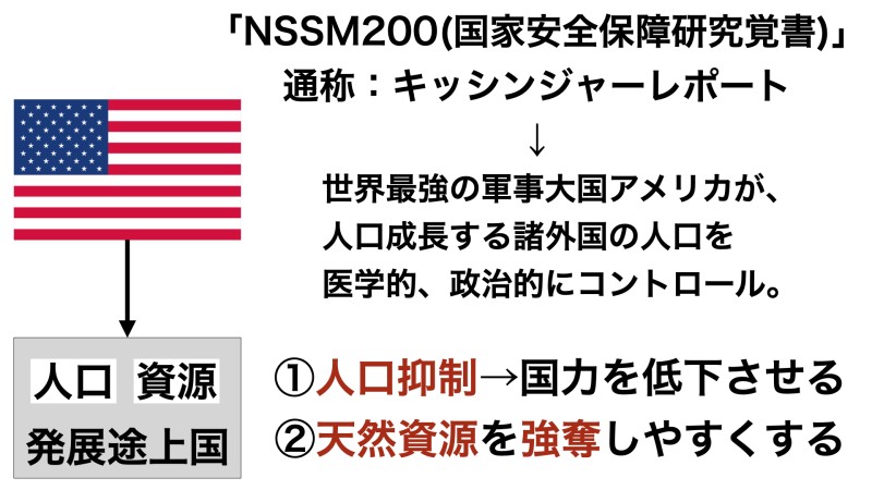 NSSM200(国家安全保障研究覚書):キッシンジャーレポート