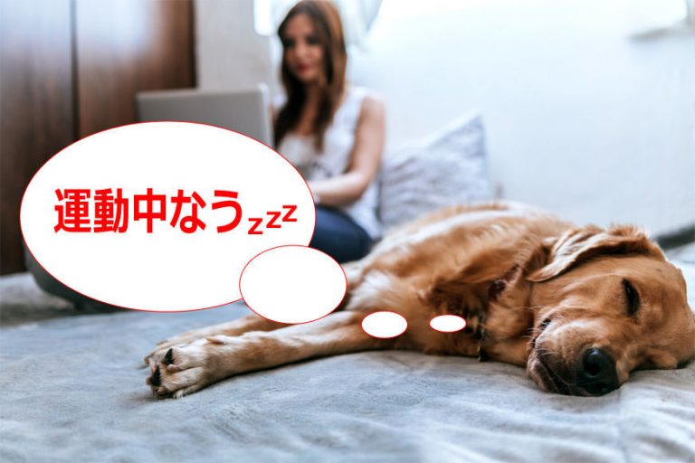 【布団の中で筋トレ】寝ながらできるダイエット運動６選（お尻、お腹、腕、脚）
