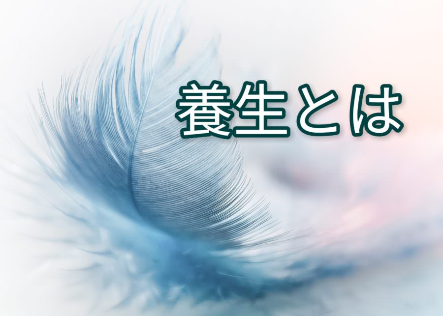 養生とは？東洋医学における意味と価値