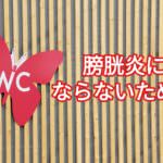 膀胱炎の原因はおしっこの我慢じゃなかった!