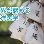 「伝統医学」が世界基準に!ICDの改訂で加速する東洋医学