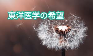 未来の鍼灸師に捧げる「東洋医学の希望」