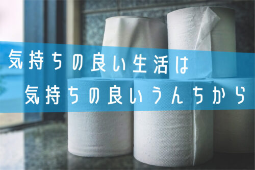 健康なうんちは便器にこびりつかない