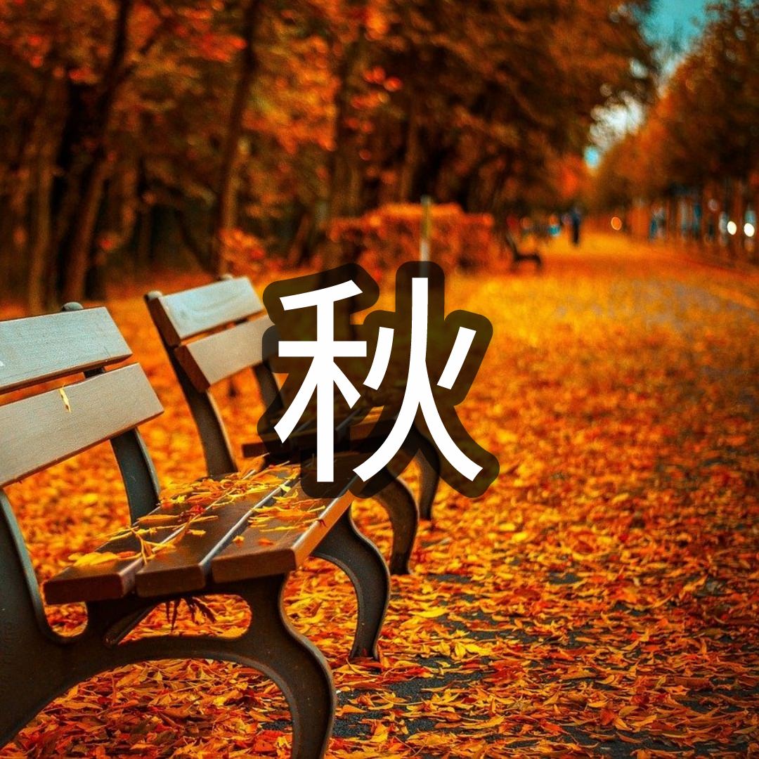 秋