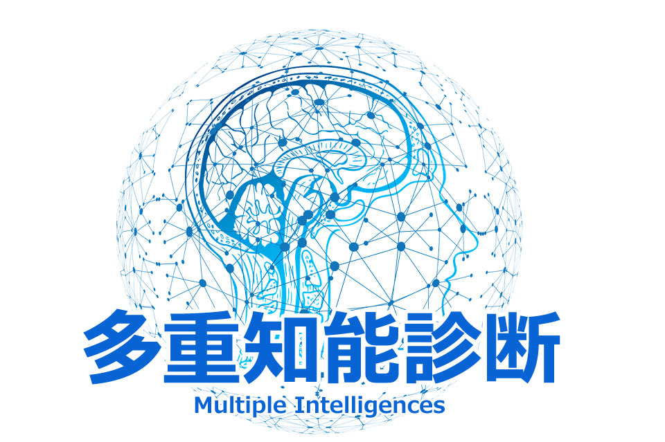 多重知能診断