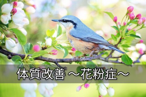 体質改善で花粉症を治す5つの約束