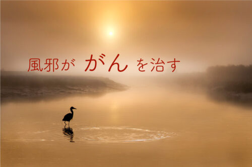 風邪が癌を治す~自然治癒力のチカラ~