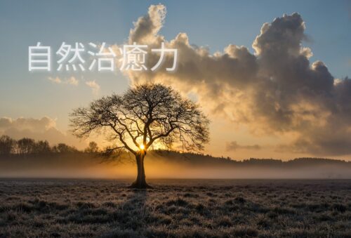 自然治癒力~発熱が病を治す~