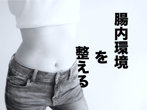 腸内環境の改善には食物繊維+知恵が必須