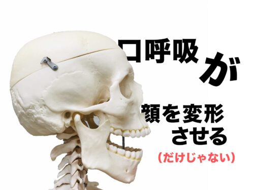 虫歯と口臭の原因『口呼吸』が顔の変形も引き起こす